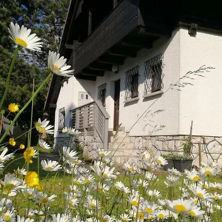 River House Hrib Tatil Evi Preddvor
